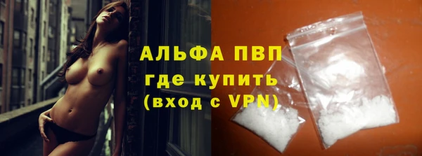 PSILOCYBIN Фёдоровский