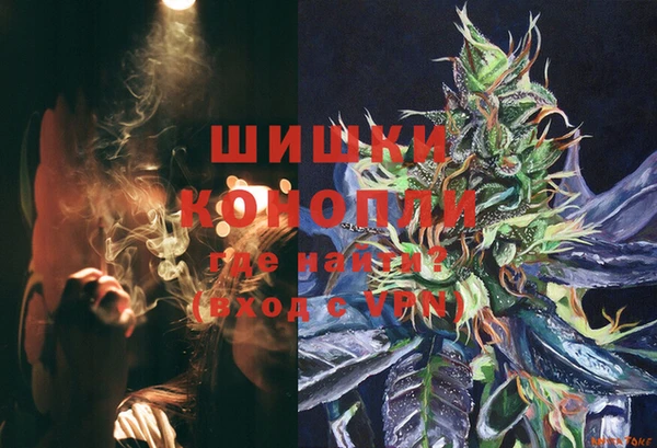 apvp Осинники