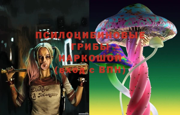 apvp Осинники